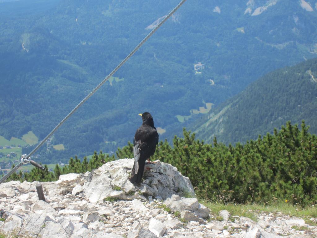 Haus Galler - Urlaub Am Bauernhof Bad Aussee Luaran gambar