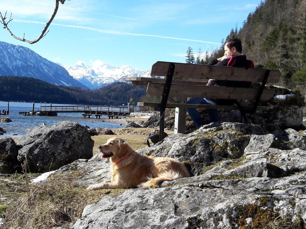 Haus Galler - Urlaub Am Bauernhof Bad Aussee Luaran gambar